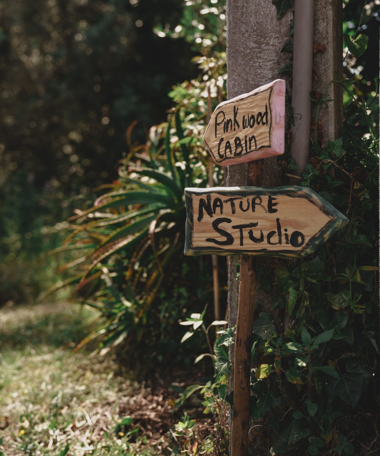 DSC06443-Aprimorado-NR