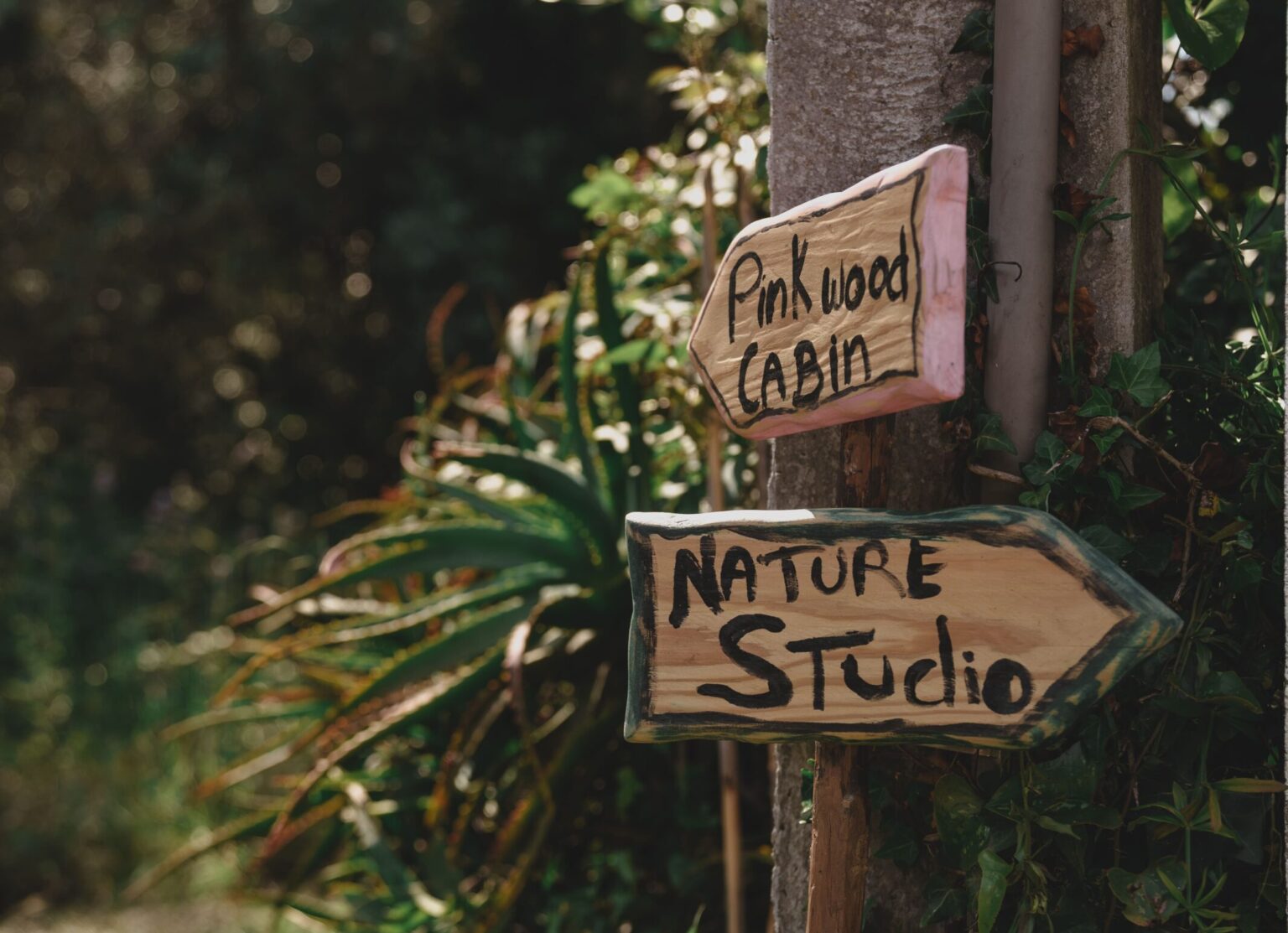 DSC06443-Aprimorado-NR