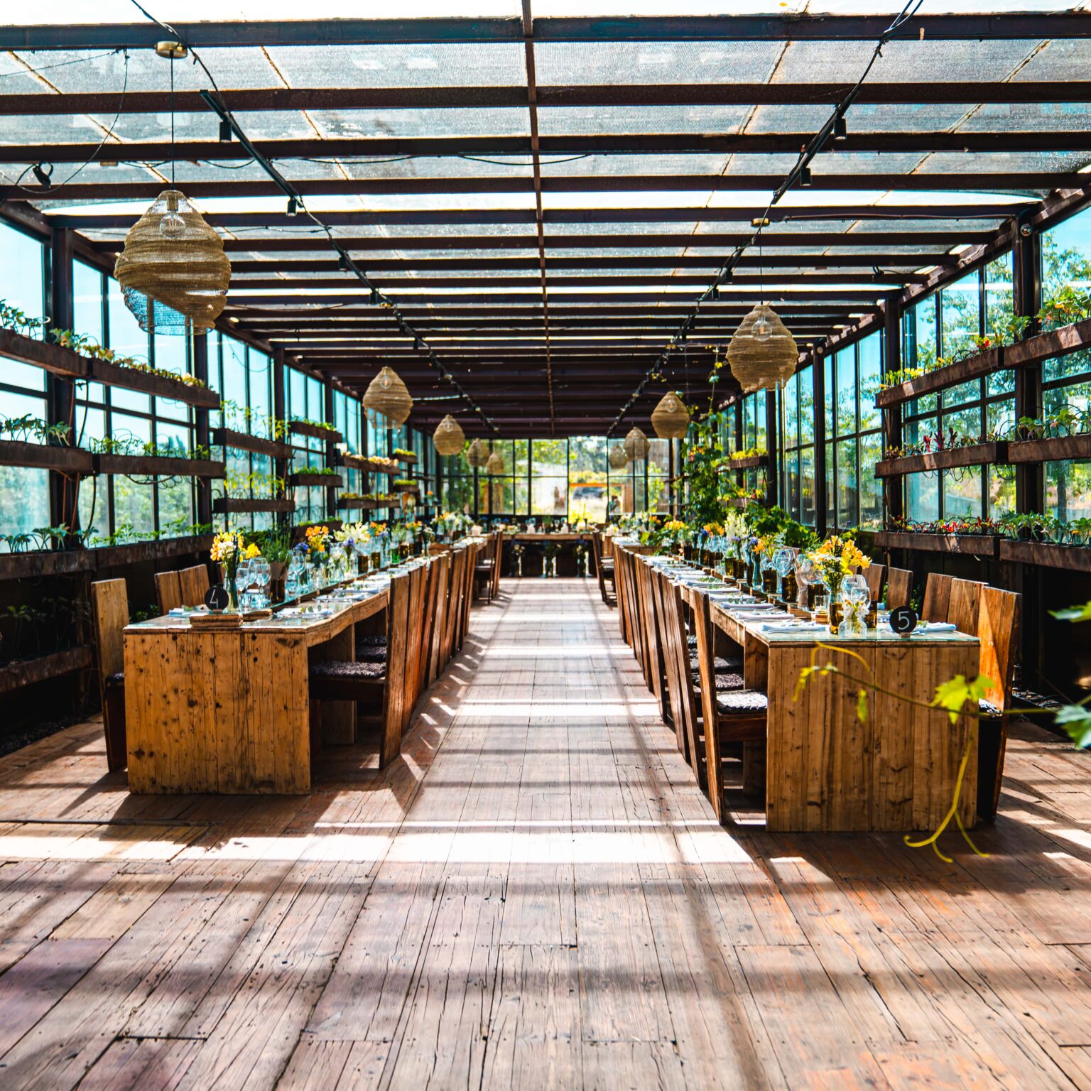 DSC08018-Aprimorado-NR-min